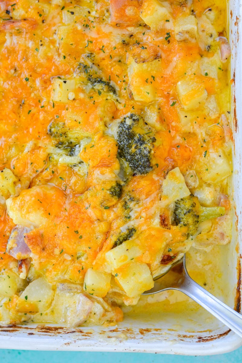 This Cheesy Potato, Broccoli and Ham Bake is the perfect comfort food! This recipe is an excellent way to use up leftover ham for a quick and easy meal! 