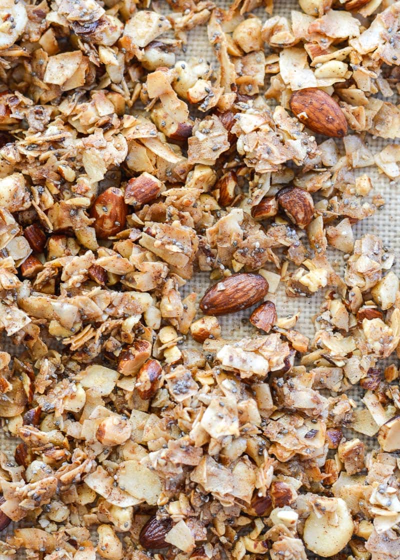 Toasted Coconut Granola is the perfect low carb, keto-friendly snack! Packed with coconut flakes, almonds, macadamia nuts, cinnamon and vanilla, this is a treat you will love! 