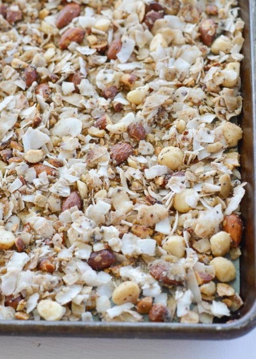 Toasted Coconut Granola (low carb + keto) Maebells