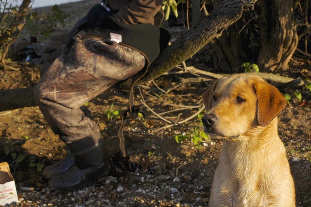 Duck hunting with our boy Copper is the best way to spend a weekend... Even better with Keto Ham and Swiss Biscuits.