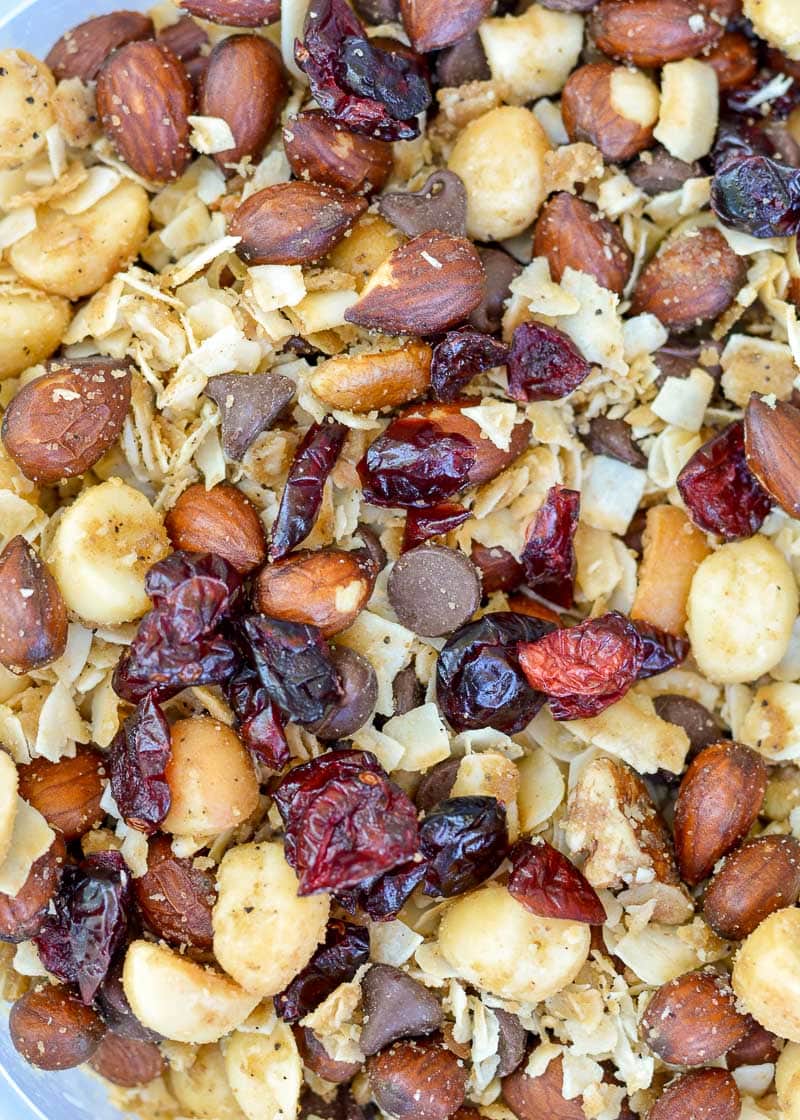 This Grain Free Granola with Cranberries is packed with rich dark chocolate, tart cranberries coconut, nuts, and seeds! It is the perfect grab-and-go snack for any occasion!