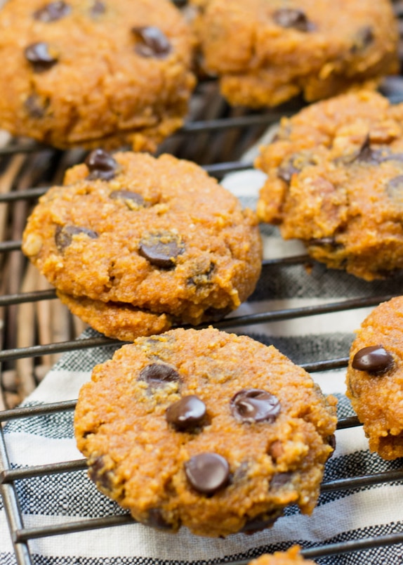 Soft and Chewy Chocolate Chip Pumpkin Cookies are the perfect gluten free, grain free treat! Each low carb cookie contains about 1 net carb each making it a great keto-friendly snack!