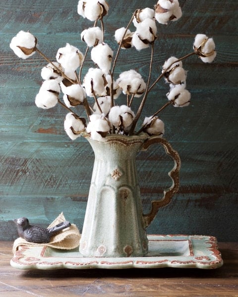 Small Cotton Stems