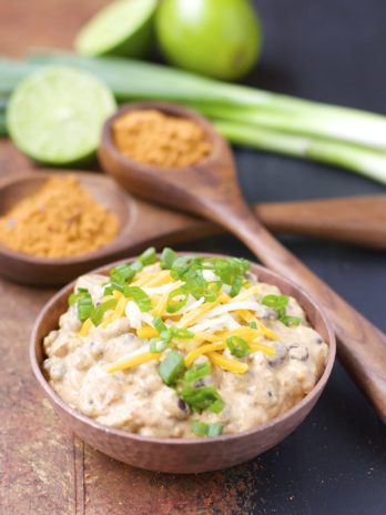 Slow Cooker Spicy Black Bean Dip, this stuff is so addictive! Only FOUR ingredients and gluten free!