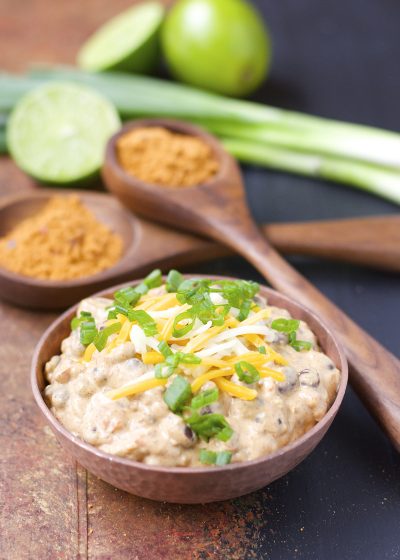 Slow Cooker Spicy Black Bean Dip, this stuff is so addictive! Only FOUR ingredients and gluten free!