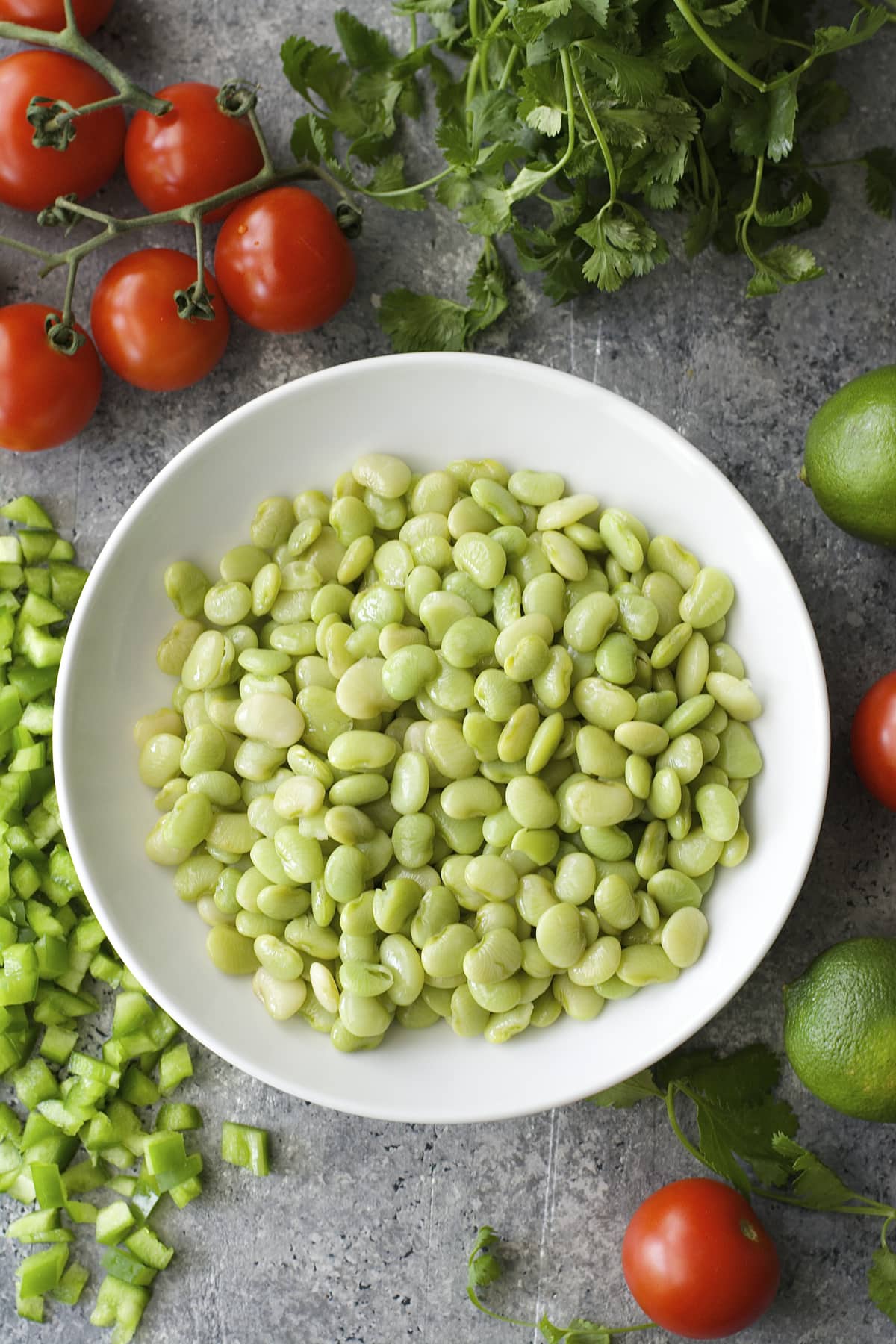 Tender Lime Beans are combined with tomatoes and peppers and tossed in a zesty sauce! Grab some chips and get to snacking! You will love this easy Lima Bean Salsa!