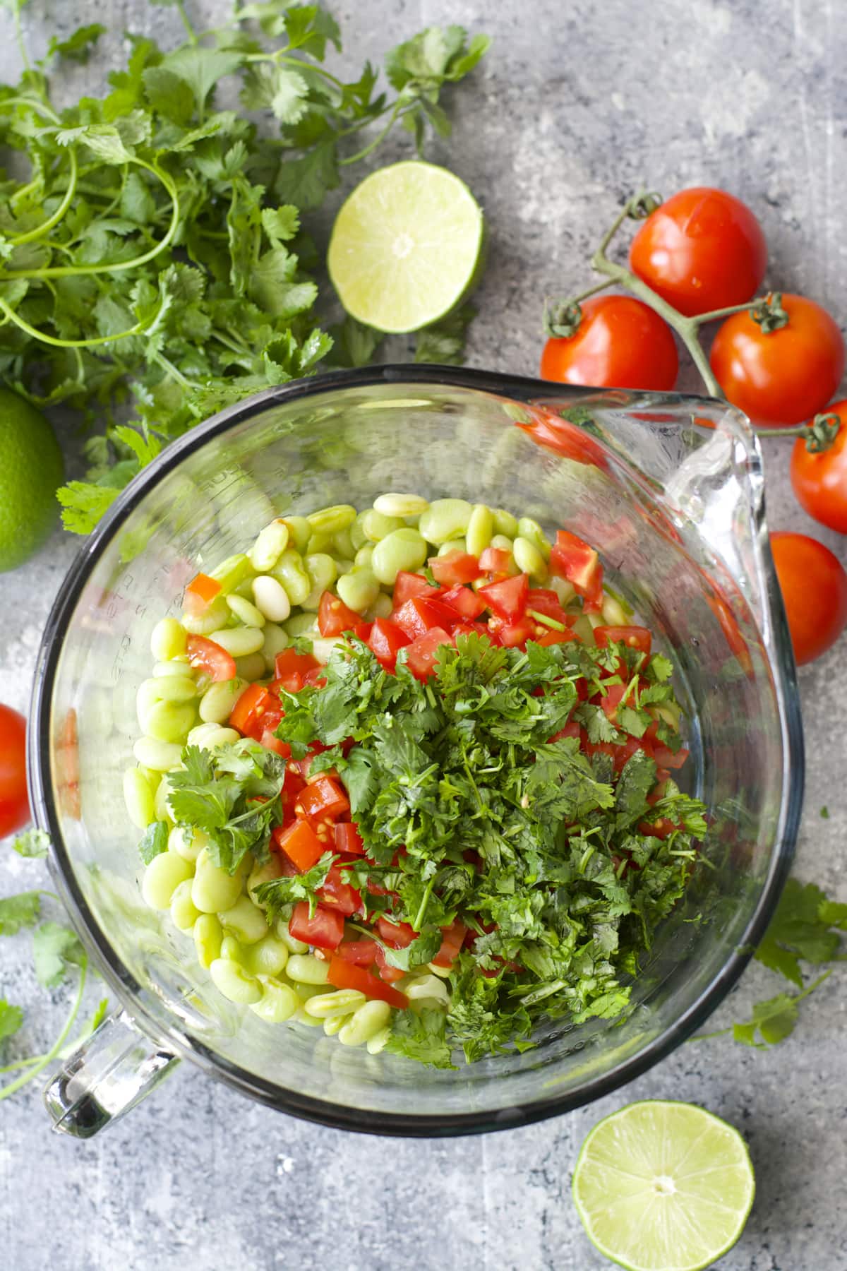 Tender Lime Beans are combined with tomatoes and peppers and tossed in a zesty sauce! Grab some chips and get to snacking! You will love this easy Lima Bean Salsa!