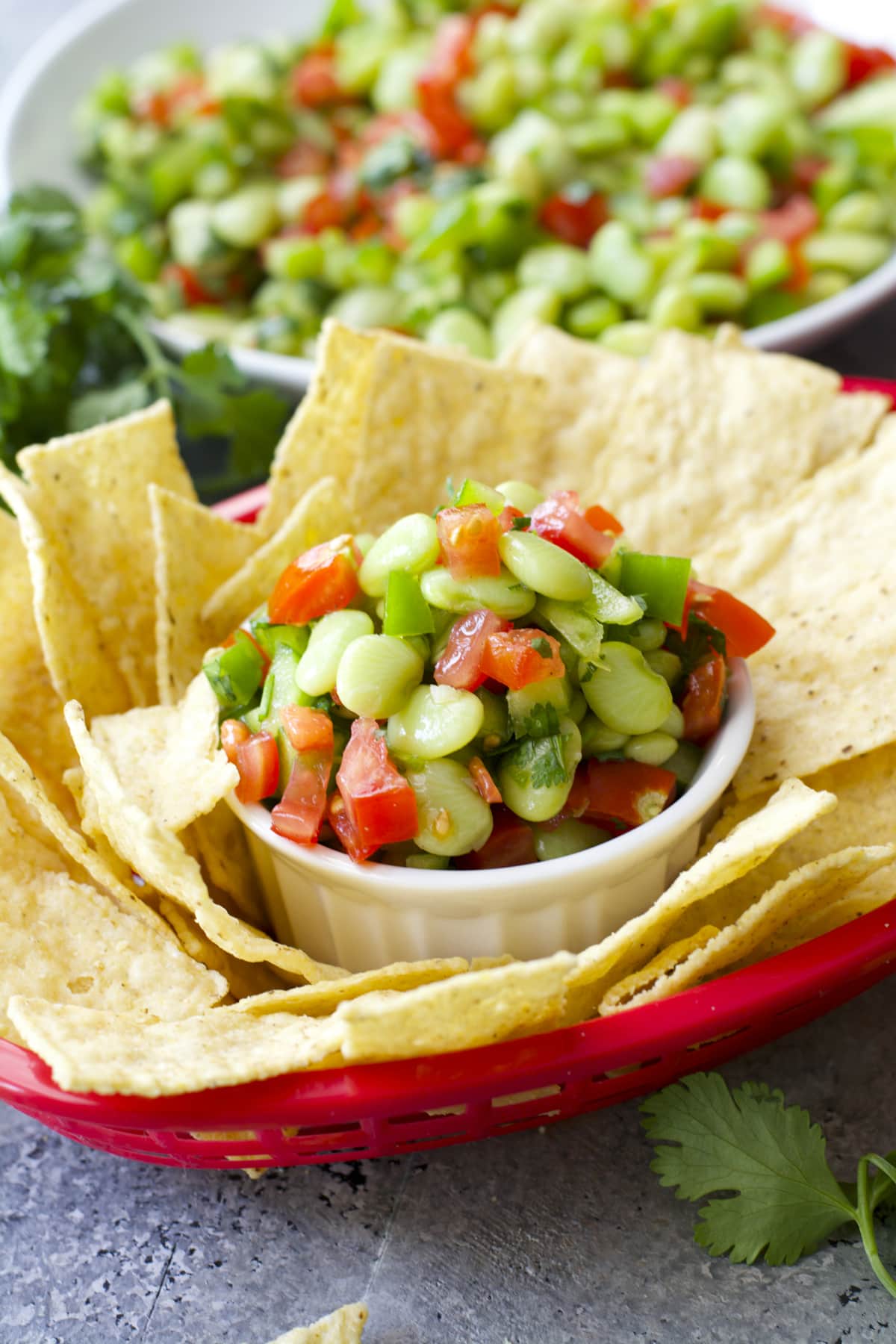 Tender Lime Beans are combined with tomatoes and peppers and tossed in a zesty sauce! Grab some chips and get to snacking! You will love this easy Lima Bean Salsa!