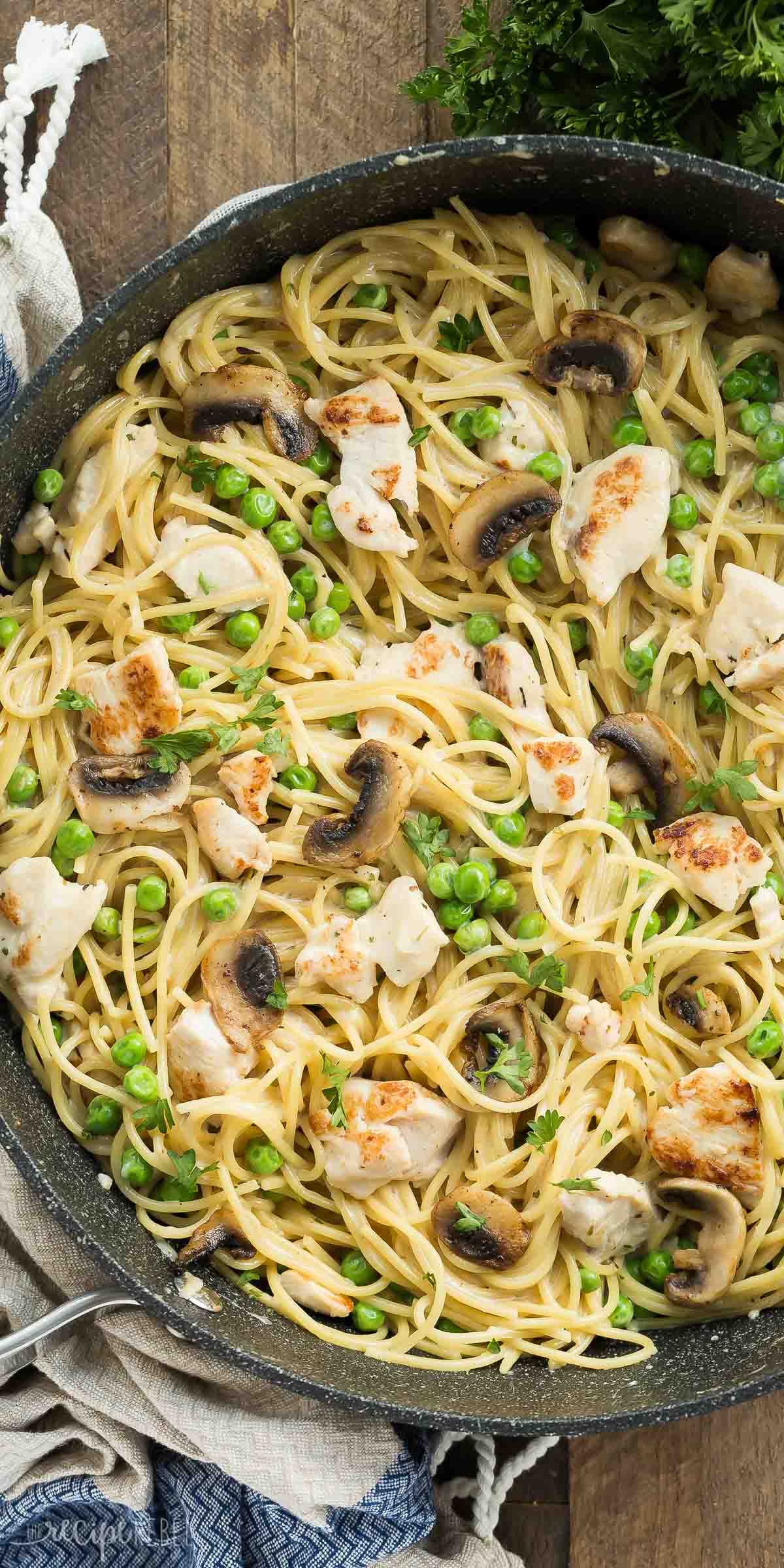 One Pot Turkey Tetrazzini