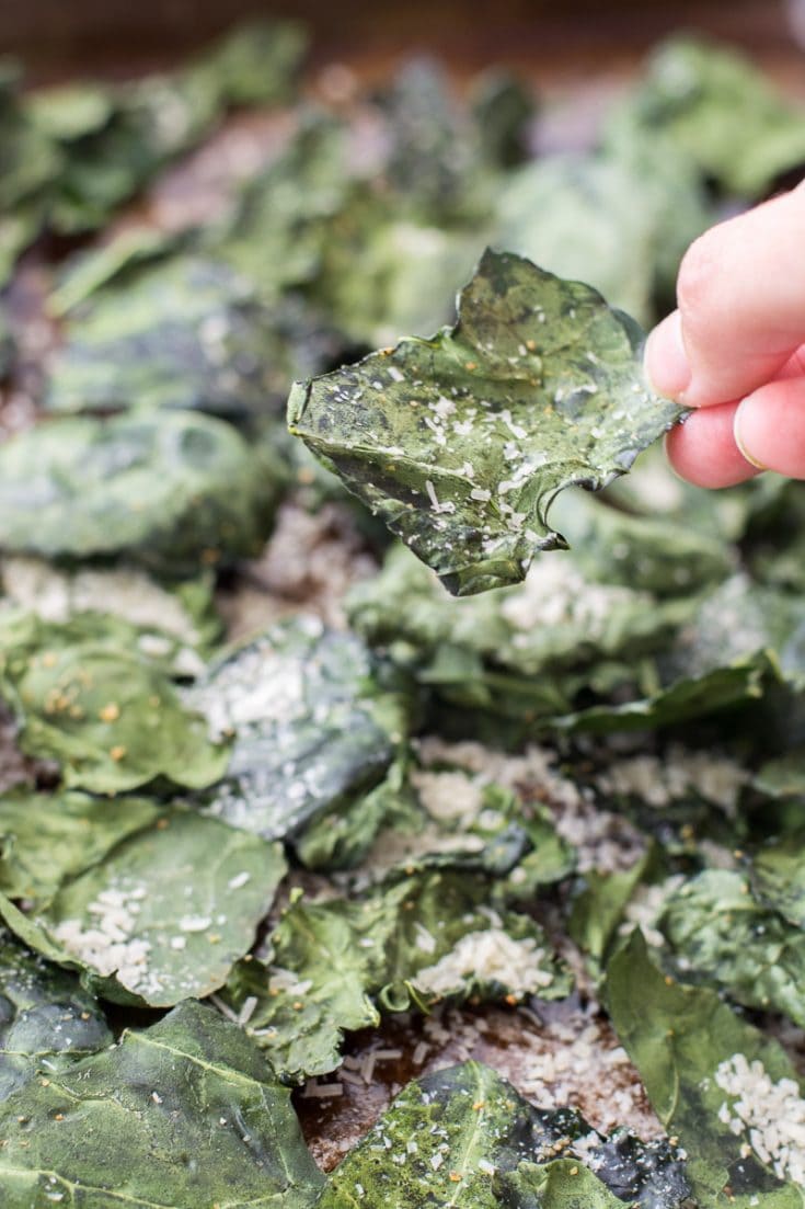 an oven roasted kale chip being held aloft over a baking sheet 