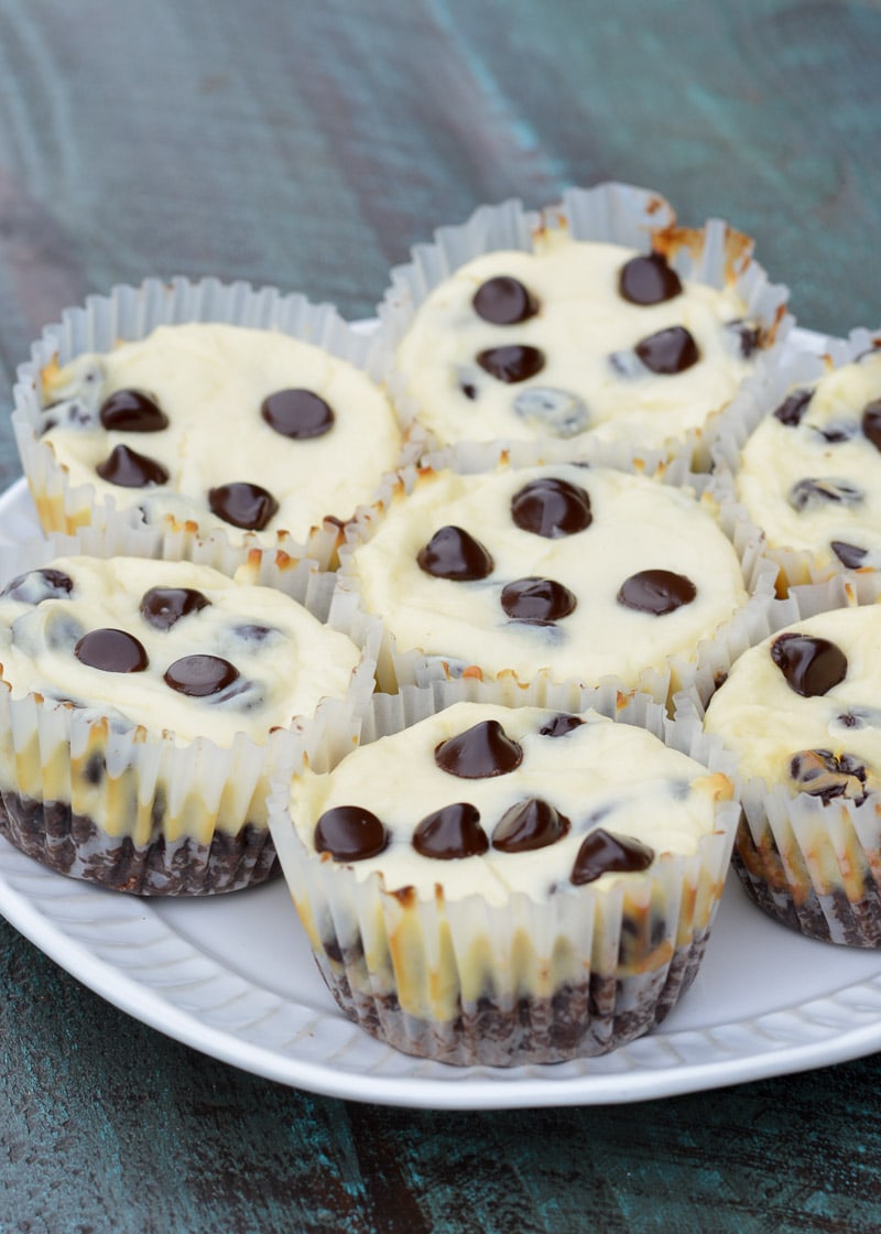 These Mini Keto Chocolate Chip Cheesecakes have just 5.2 net carbs a piece and are perfect for a party!