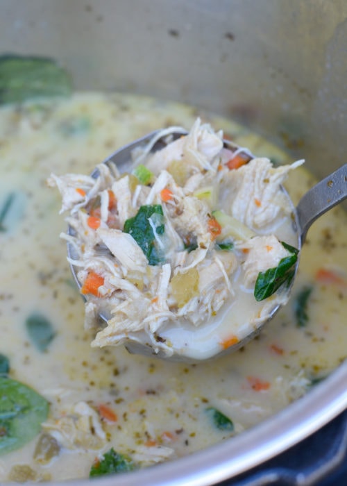 Instant Pot Chicken Spinach Soup (keto + low carb) - Maebells