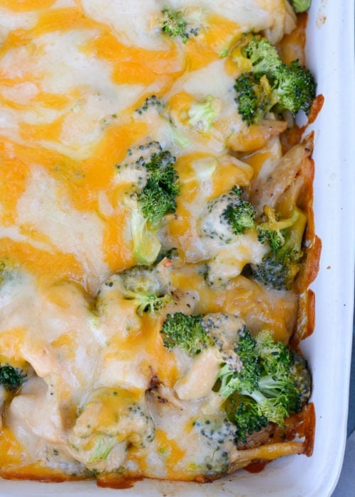 Broccoli Chicken Casserole is packed with shredded chicken, tender broccoli and a creamy cheddar cheese sauce! This low carb, kid friendly casserole has just 5.5 net carbs per serving! 