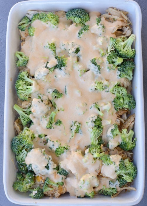 Broccoli Chicken Casserole is packed with shredded chicken, tender broccoli and a creamy cheddar cheese sauce! This low carb, kid friendly casserole has just 5.5 net carbs per serving! 