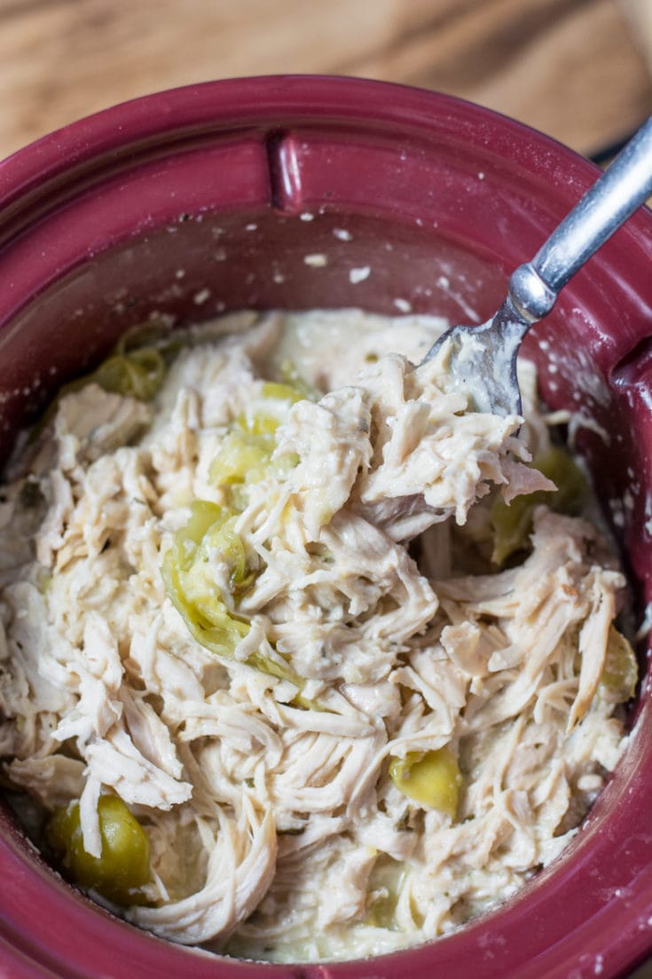 40+ Easy Crock Pot Express Recipes for Beginners