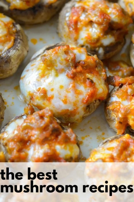 These are The BEST Mushroom Recipes! There are stuffed mushrooms, creamy sauces and delicious dinner recipes! Each of these recipes are keto, low carb and gluten free!