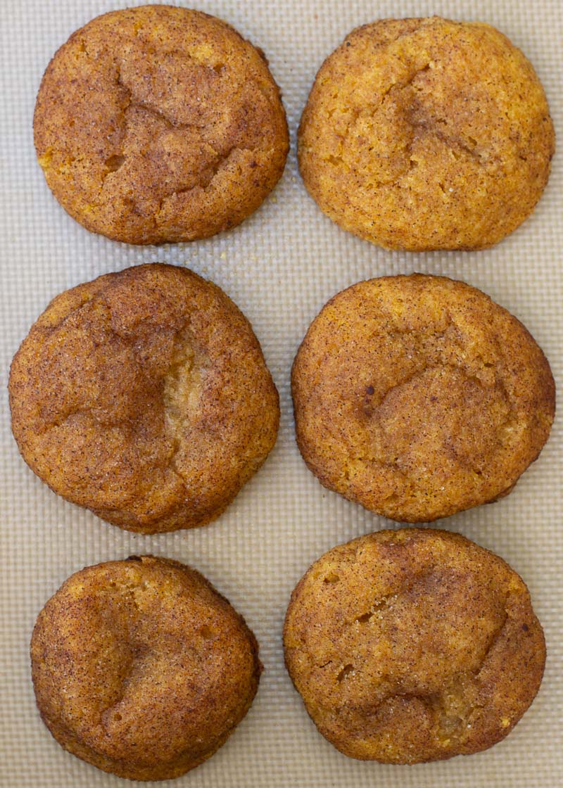 These soft, chewy Pumpkin Snickerdoodles are loaded with pumpkin and cinnamon flavor! Each low carb cookie is grain free, sugar free and has just 2 net carbs each!