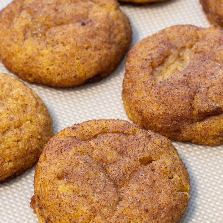 These soft, chewy Pumpkin Snickerdoodles are loaded with pumpkin and cinnamon flavor! Each low carb cookie is grain free, sugar free and has just 2 net carbs each!