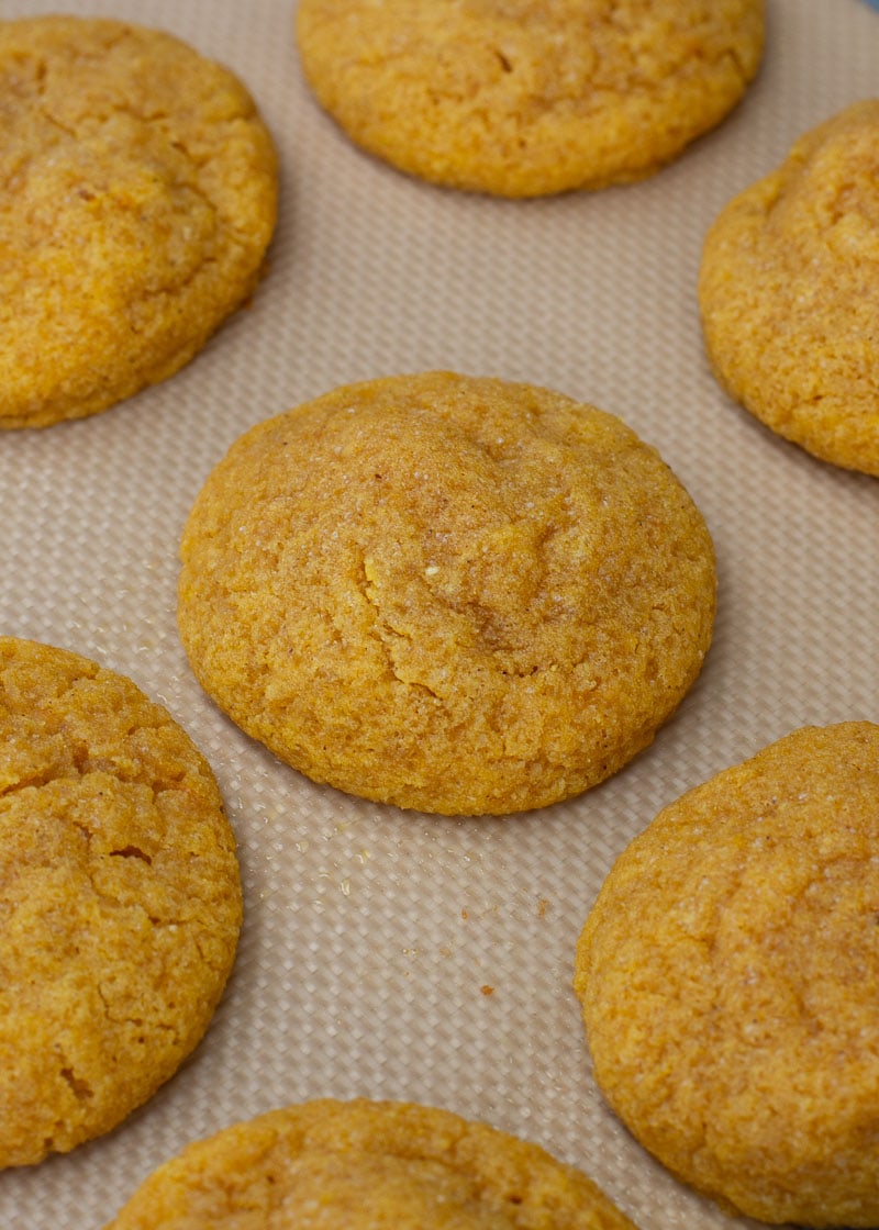 These Pumpkin Sugar Cookies with Cream Cheese Frosting are super indulgent while being low carb, grain and sugar free! Enjoy a a soft, chewy iced pumpkin cookie for only 2 net carbs!