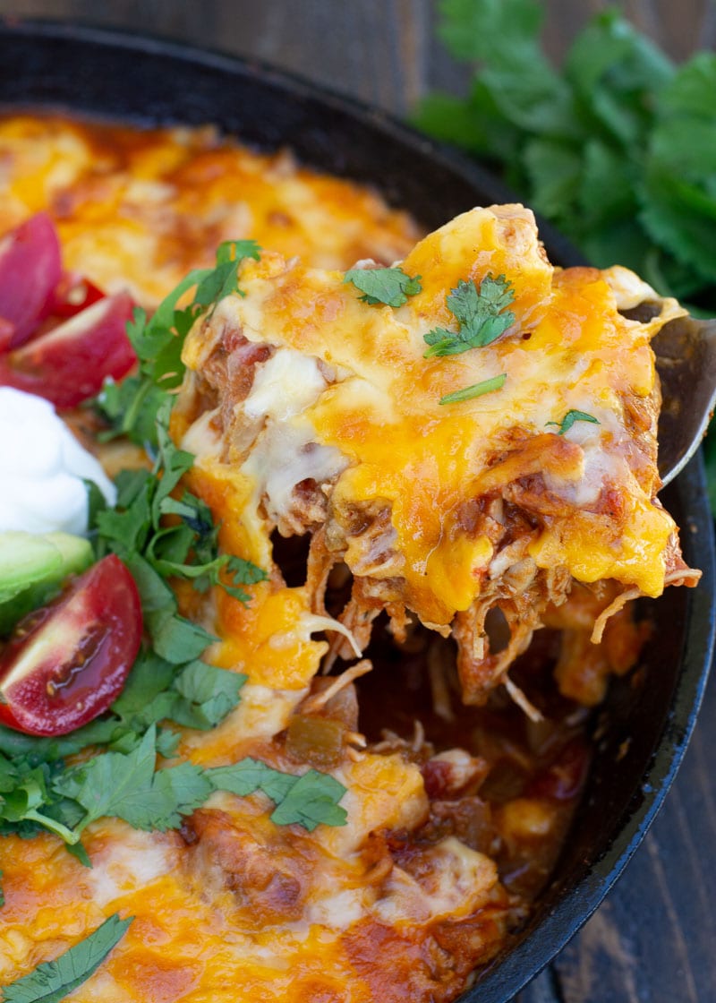 This one pan Chicken Enchilada Skillet is loaded with shredded chicken, tomatoes, green chilies and a creamy sauce! Enjoy a generous serving of this easy keto chicken recipe for under 5 net carbs!