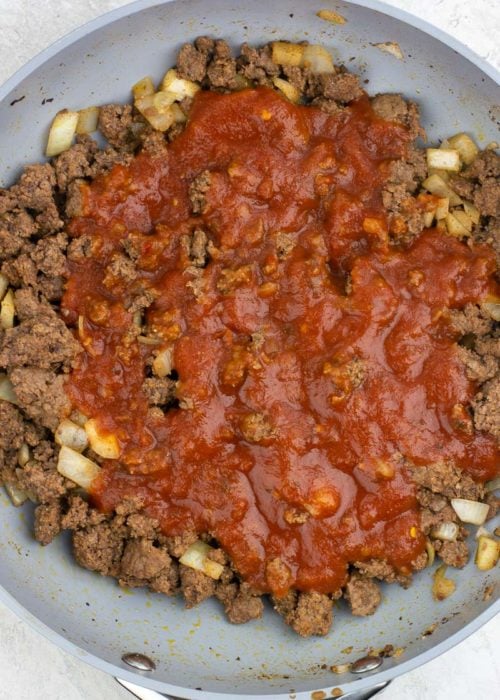 ground beef, onions, and tomato sauce in a pan