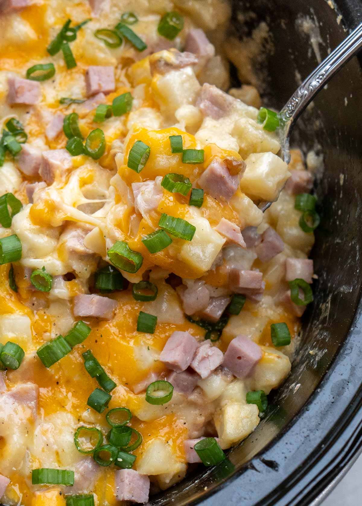 Cheesy Hashbrown Casserole is the perfect comfort food! Frozen hashbrowns are paired with sour cream, cheddar cheese, and ham to make the ultimate side dish! This simple potato recipe requires no prep work and can be made in the crock pot or oven!