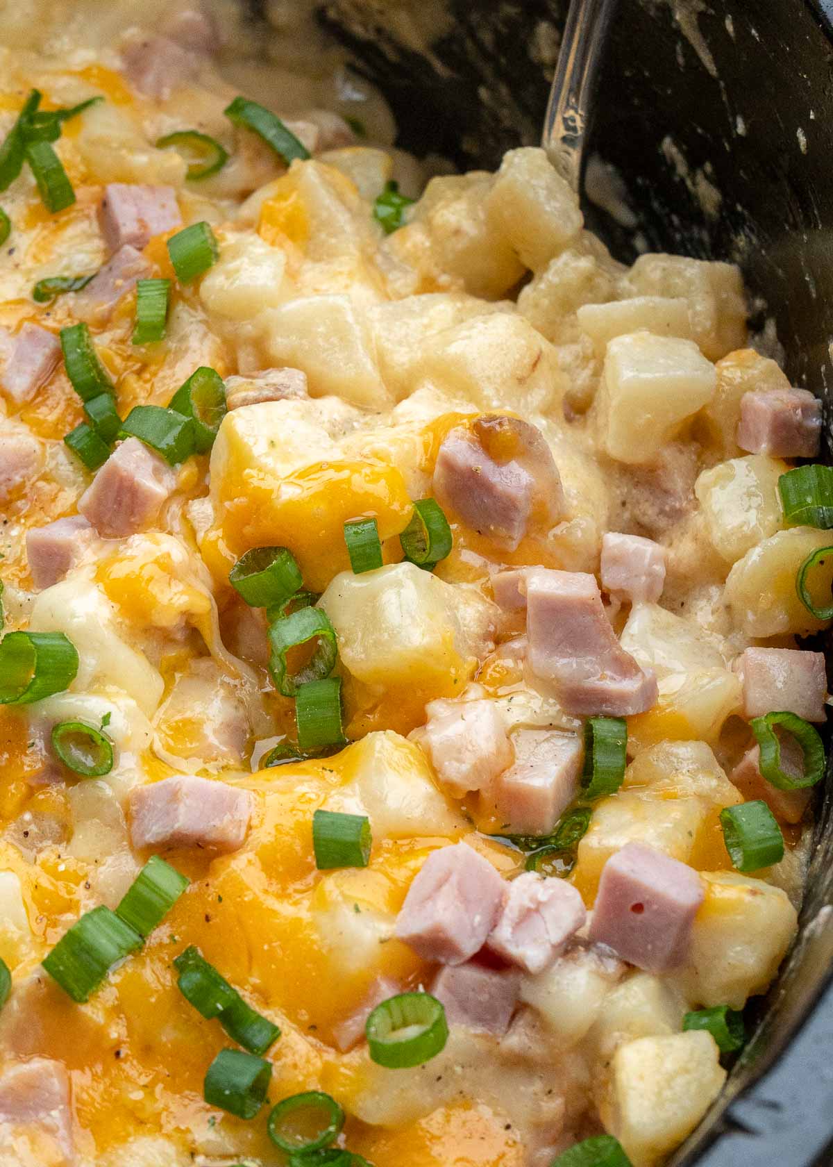 Cheesy Hashbrown Casserole is the perfect comfort food! Frozen hashbrowns are paired with sour cream, cheddar cheese, and ham to make the ultimate side dish! This simple potato recipe requires no prep work and can be made in the crock pot or oven! 