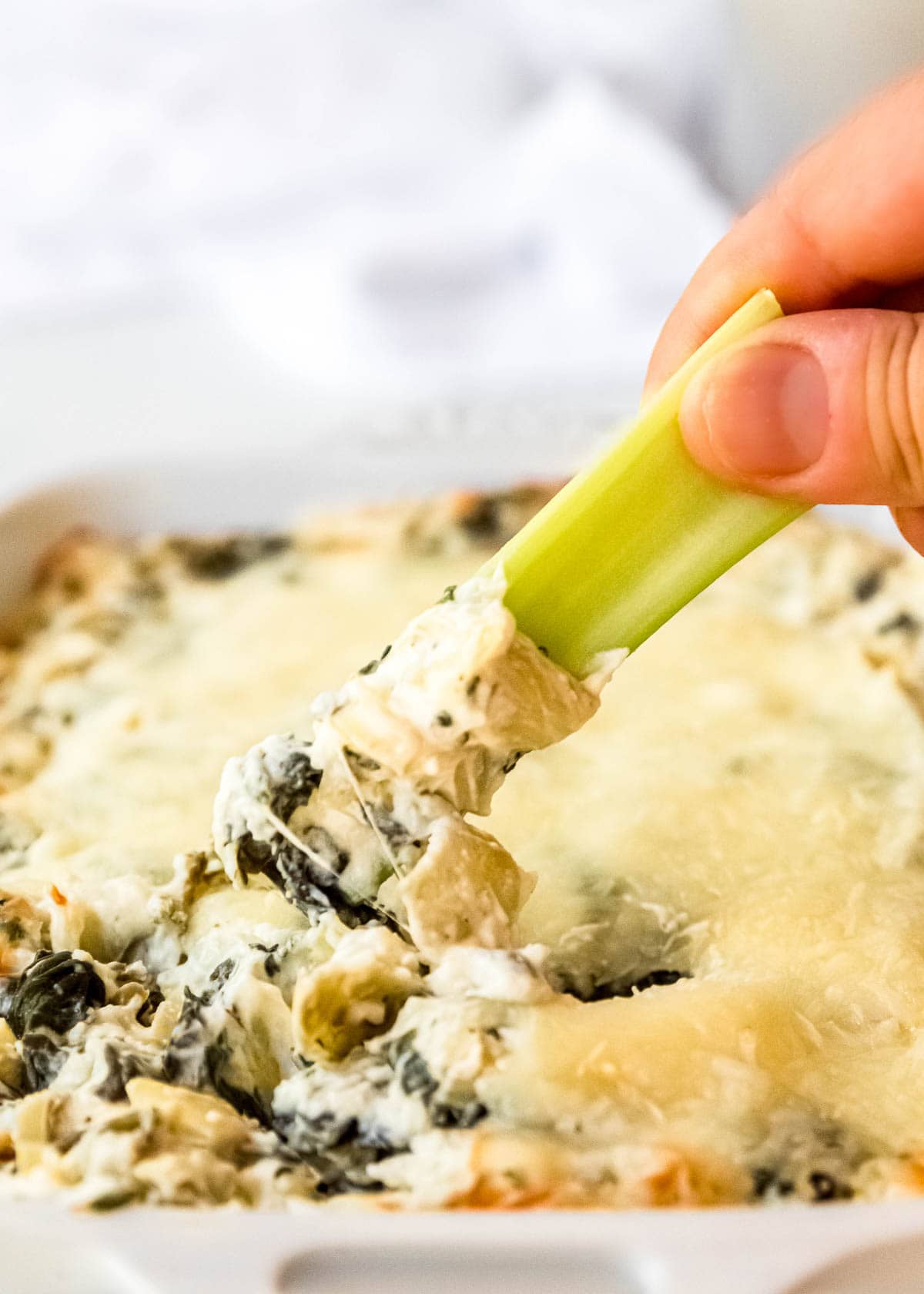 spinach artichoke dip being dipped with celery