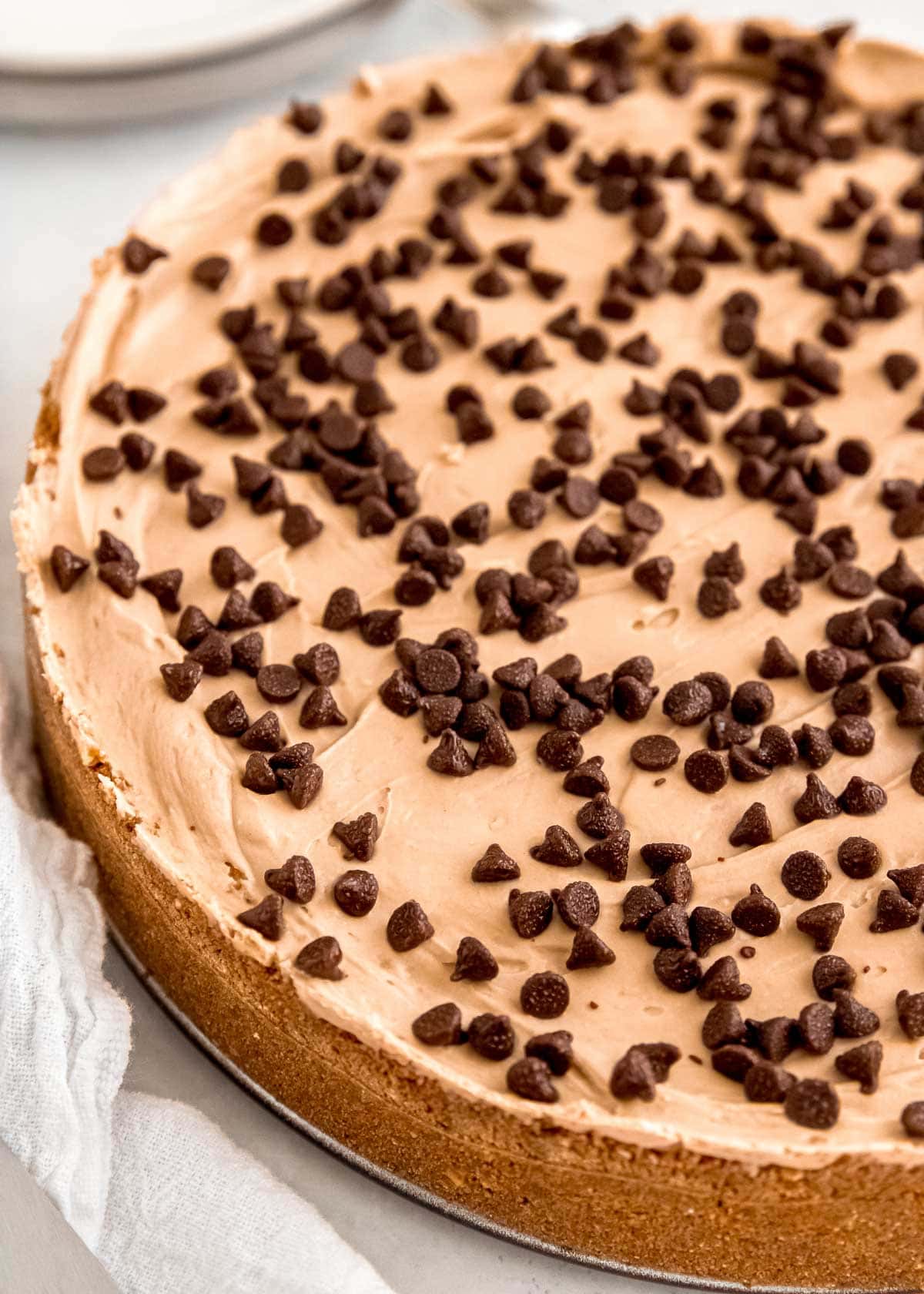 Enjoy unbelievable espresso flavor in this delicious No Bake Mocha Cheesecake! Rich, creamy, and perfect for holidays and celebrations.