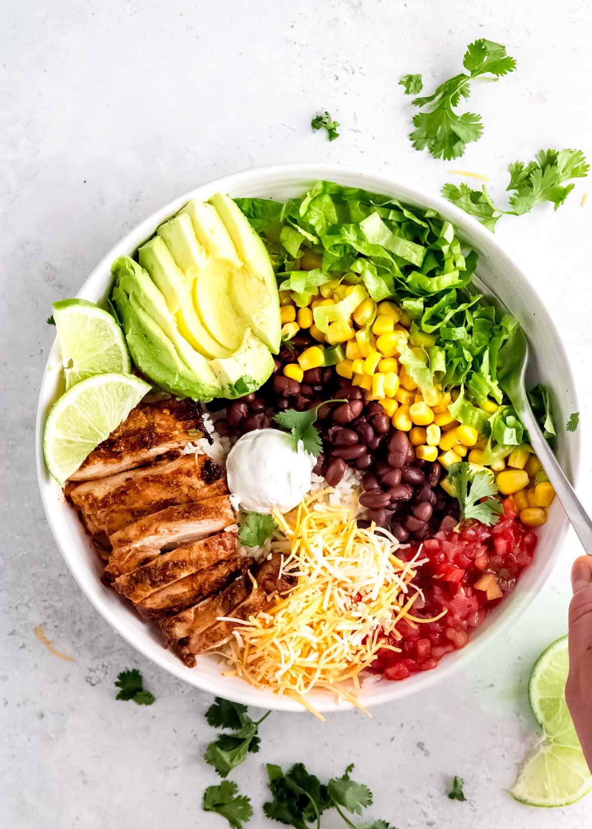 chicken burrito bowl ingredients on a white plate