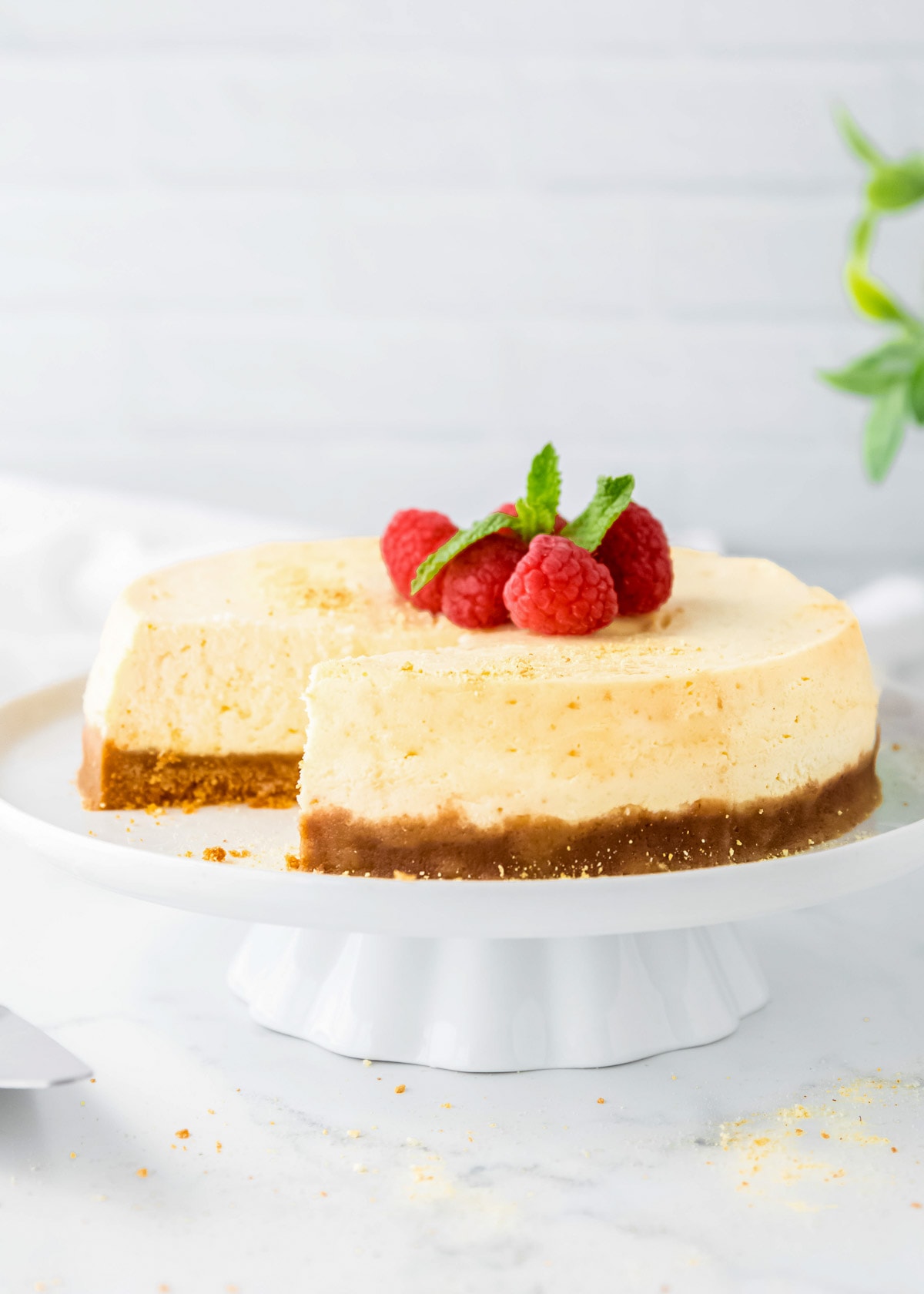 cheesecake on a pedestal, topped with raspberries and mint leaves