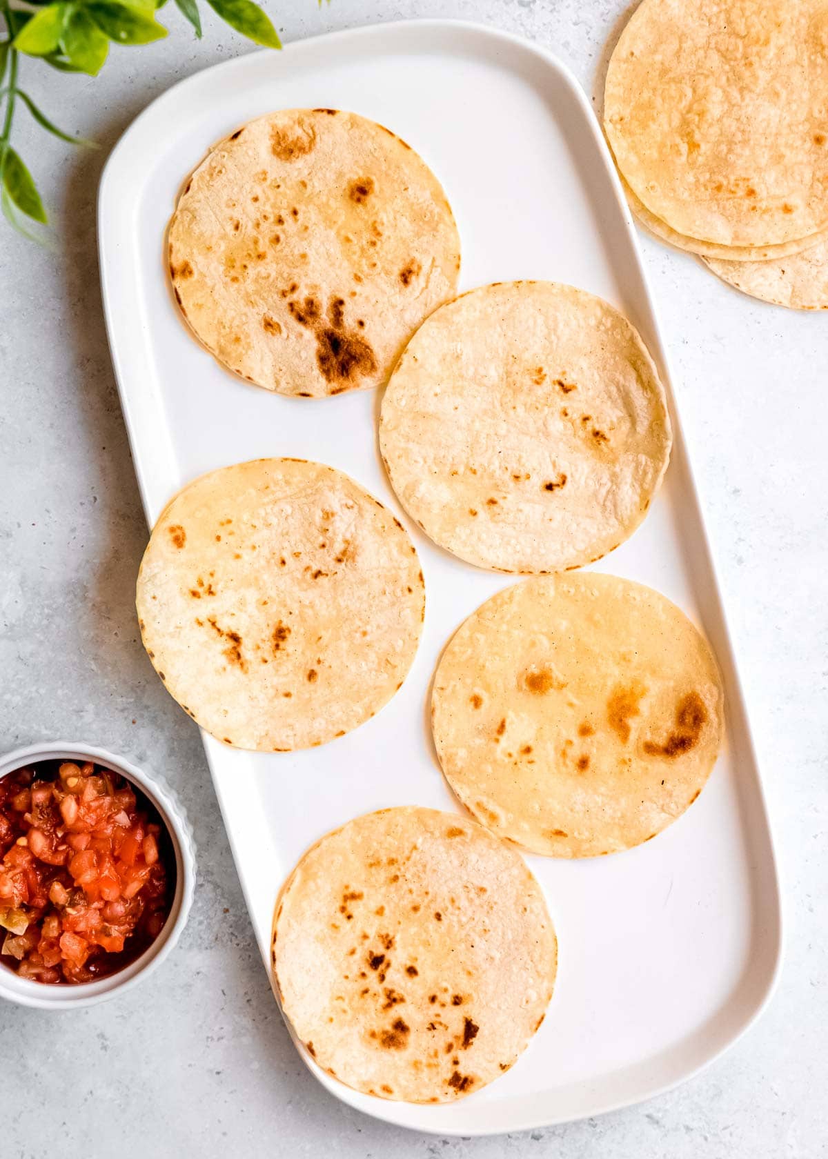 tortillas on a white platters