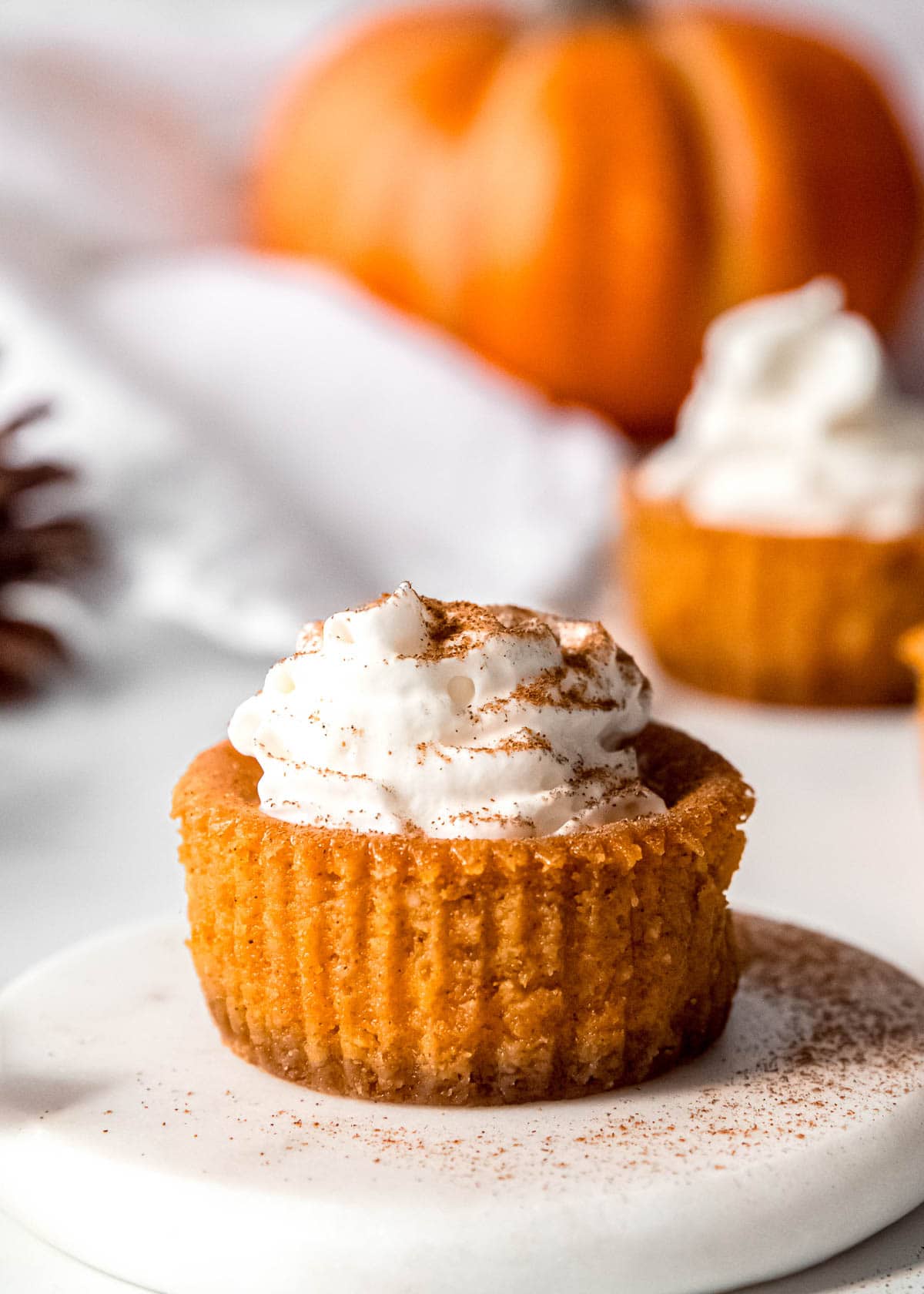 pumpkin cheesecake on plate with pumpkin in background