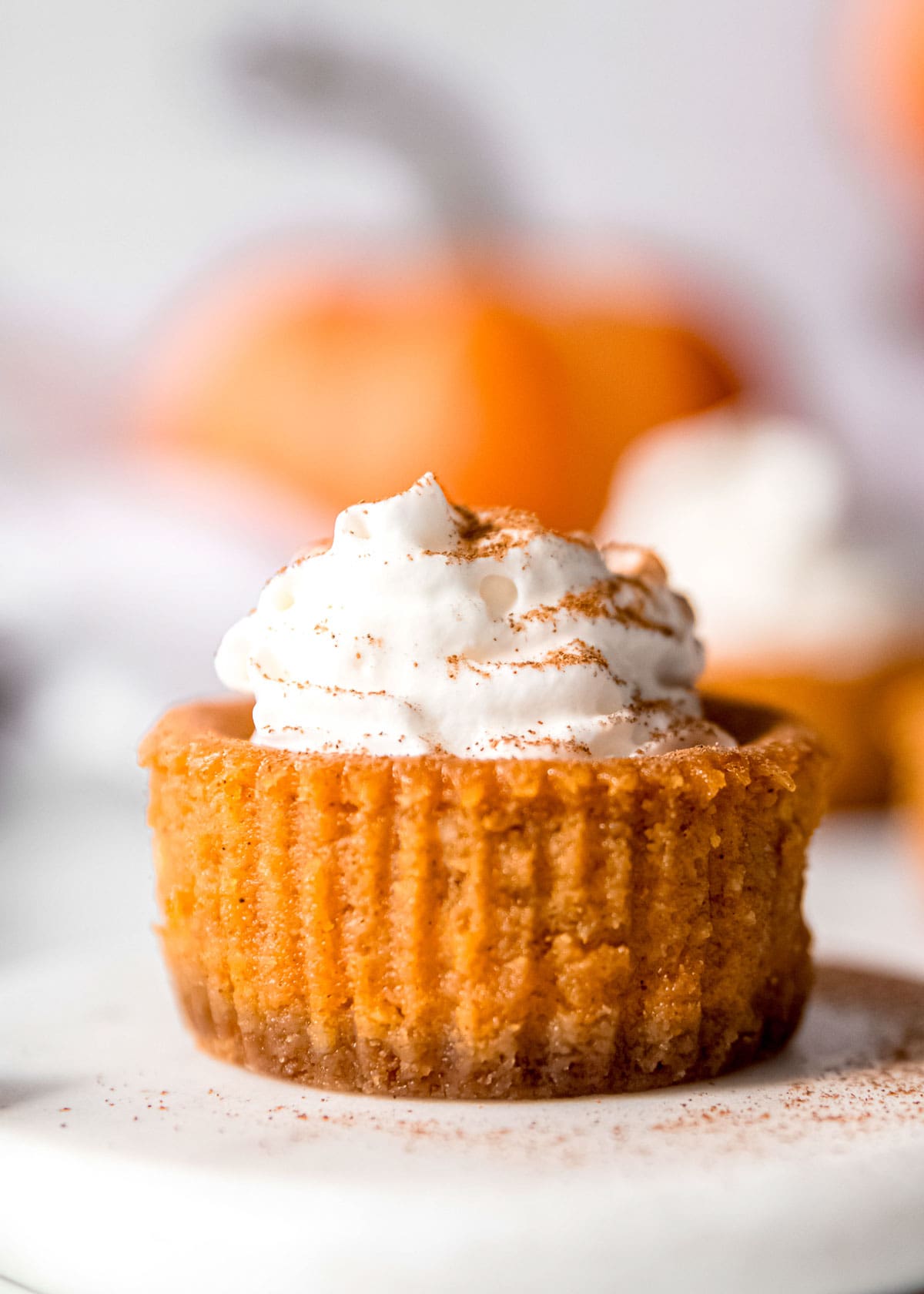 mini pumpkin cheesecake with whipped cream on plate