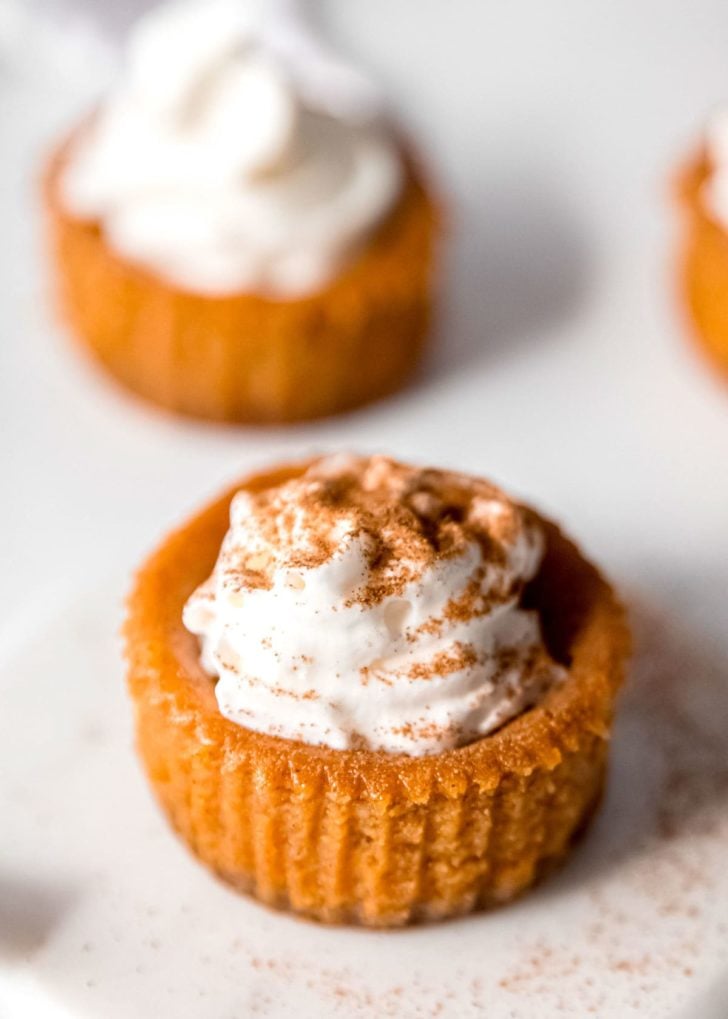 Mini Pumpkin Cheesecake Recipe Maebells