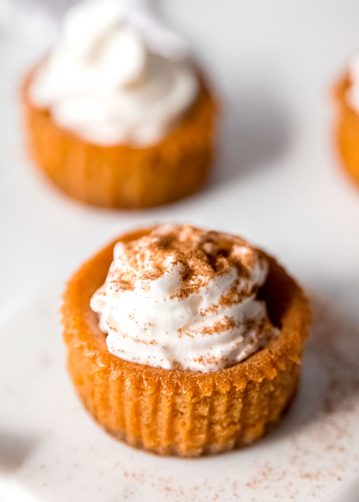 mini pumpkin cheesecake on a white plate