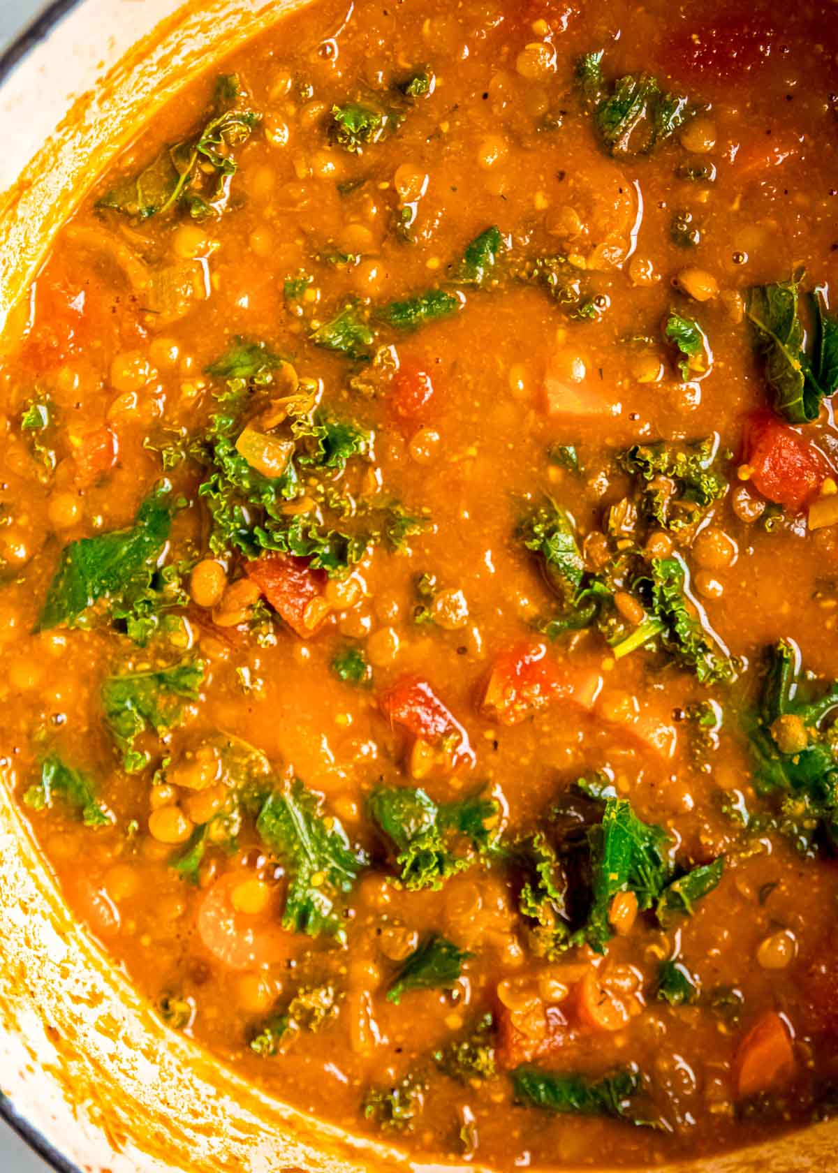 a closeup of lentil soup in a dutch oven