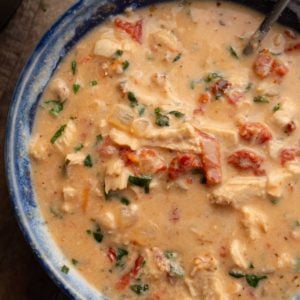 a closeup of creamy chicken soup in a blue bowl