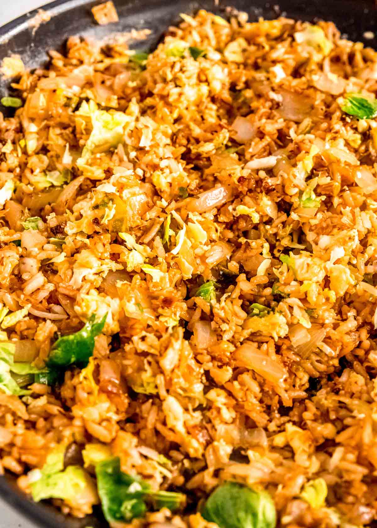 closeup of delicious easy fried rice recipe with veggies