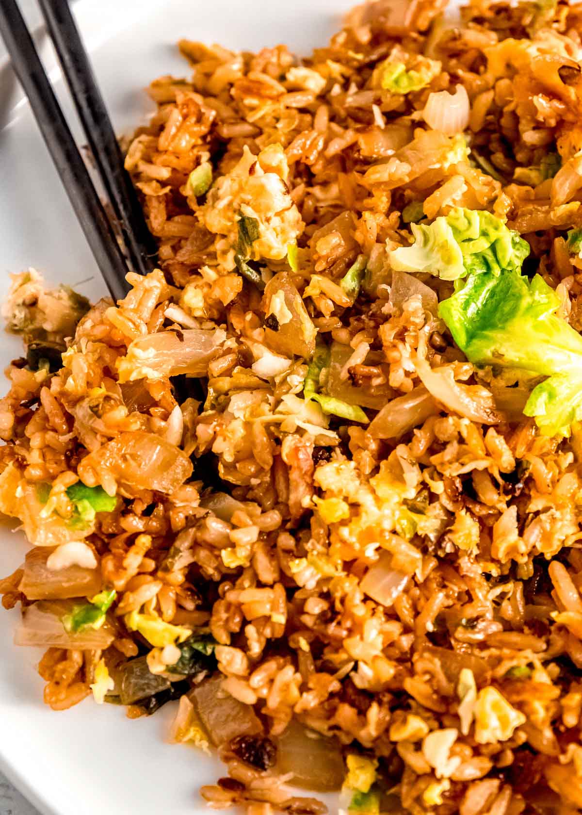plate full of brussels sprout fried rice