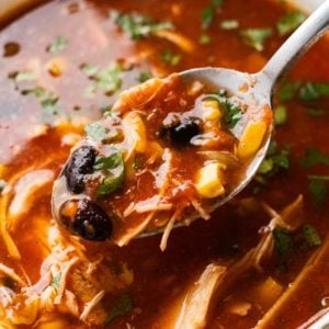 a spoon full of chicken enchilada soup over a bowl