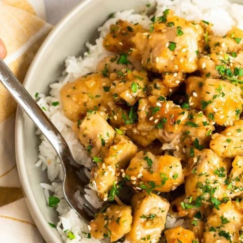 Honey-Garlic-Chicken-27-