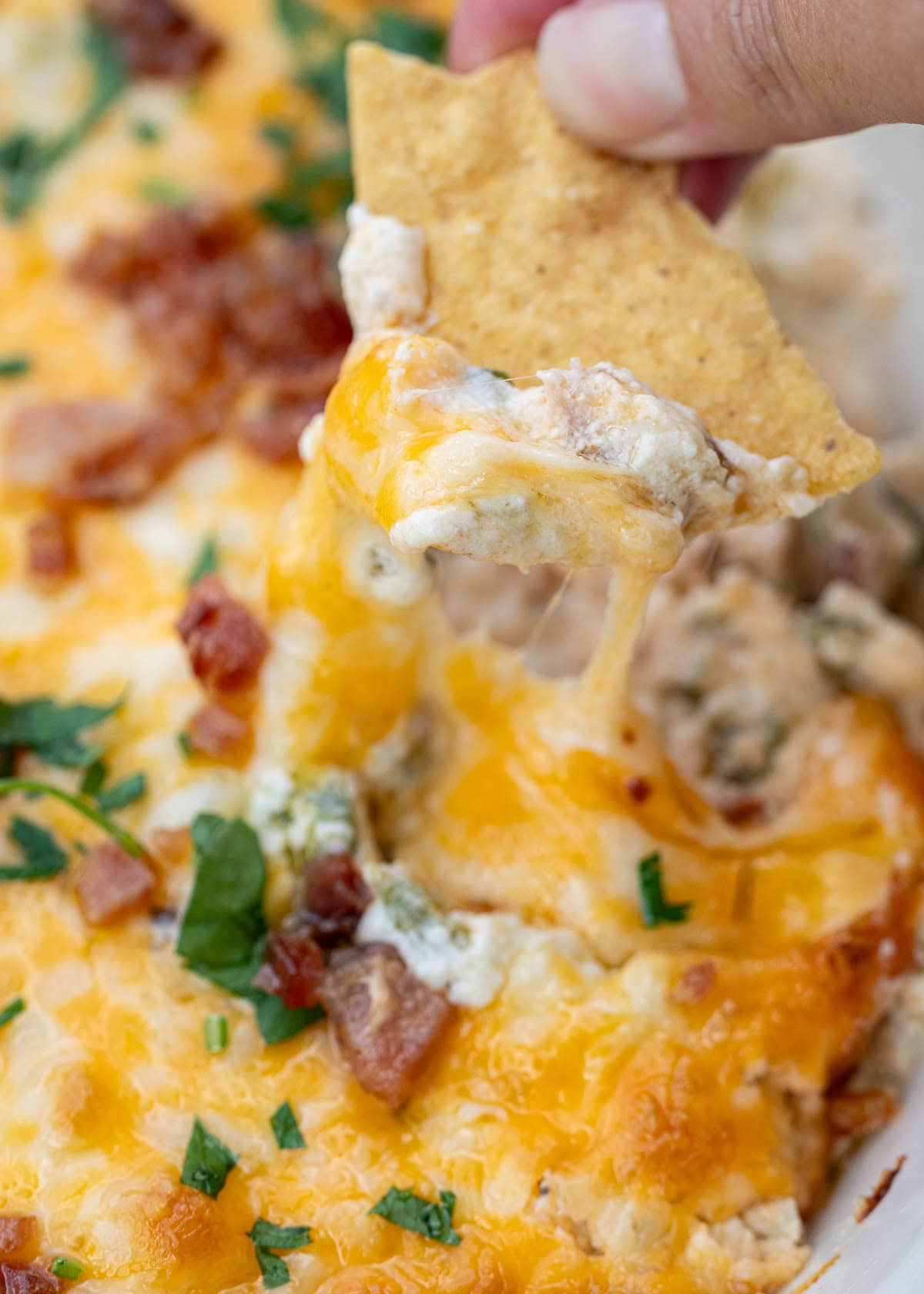 a creamy, cheesy dip on a cracker exploding with jalapeno and bacon flavor