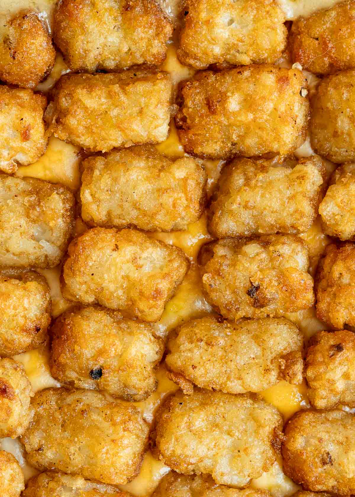 ultra crispy tater tots on a creamy, beefy cowboy casserole