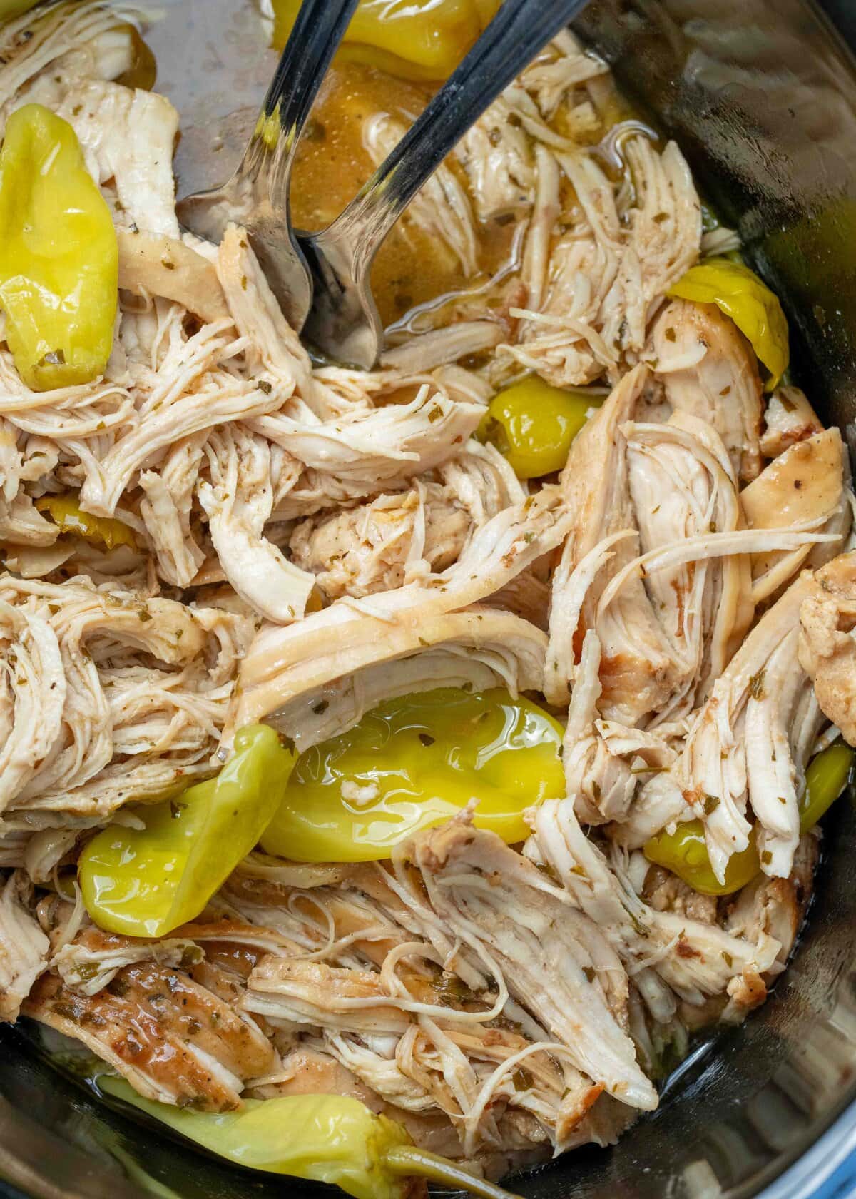 Juicy Crockpot Mississippi Chicken with pepperoncinis and ranch being shredded with two forks
