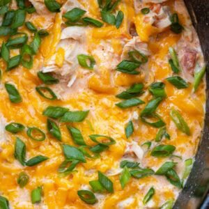 creamy chicken rotel in a crockpot, topped with cheese and green onions