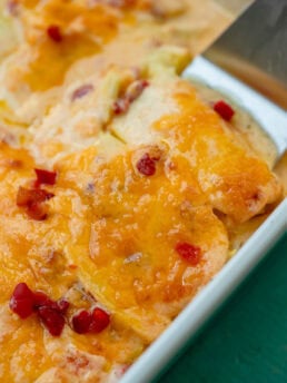 casserole dish filled with creamy squash casserole with pimento cheese!