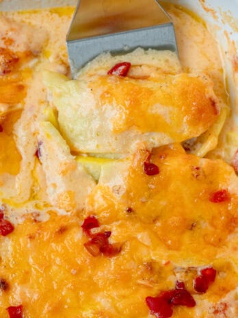 creamy squash casserole with pimento cheese sauce in a casserole dish