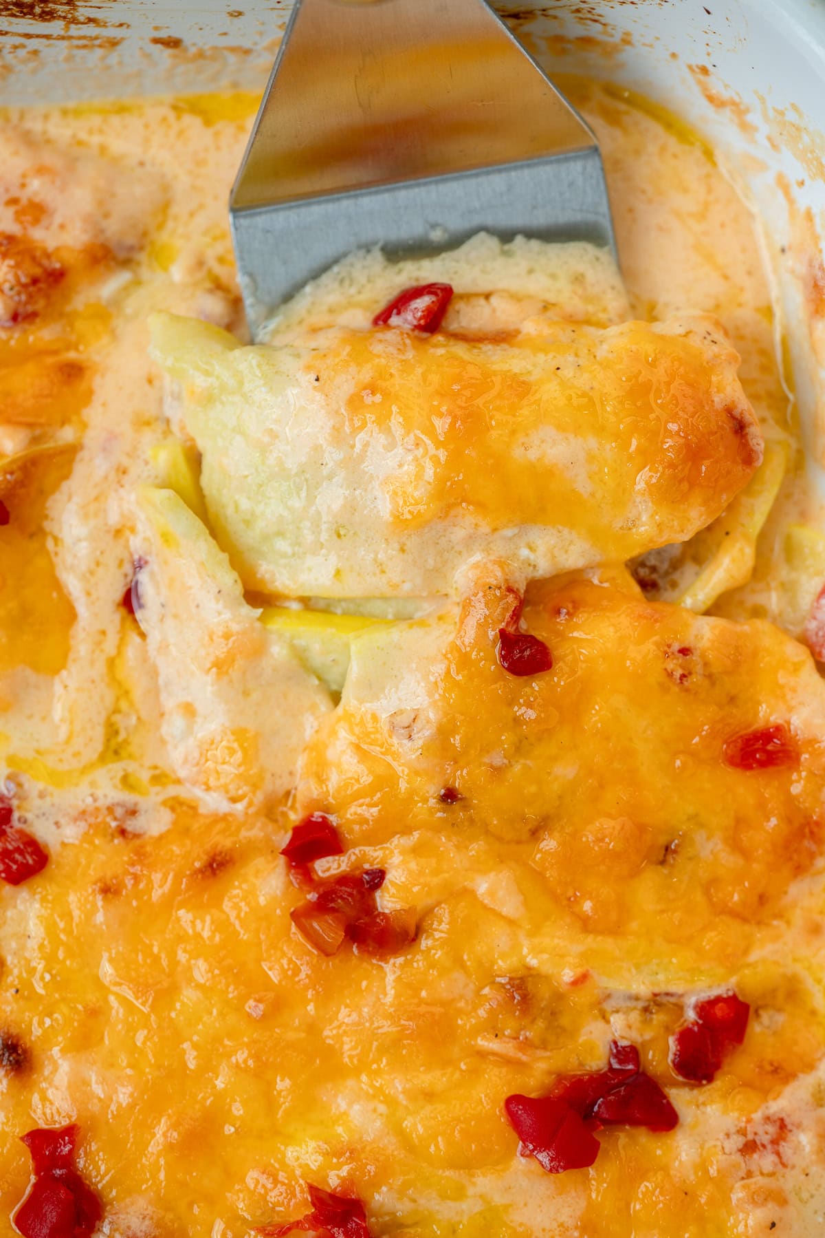 creamy squash casserole with pimento cheese sauce in a casserole dish