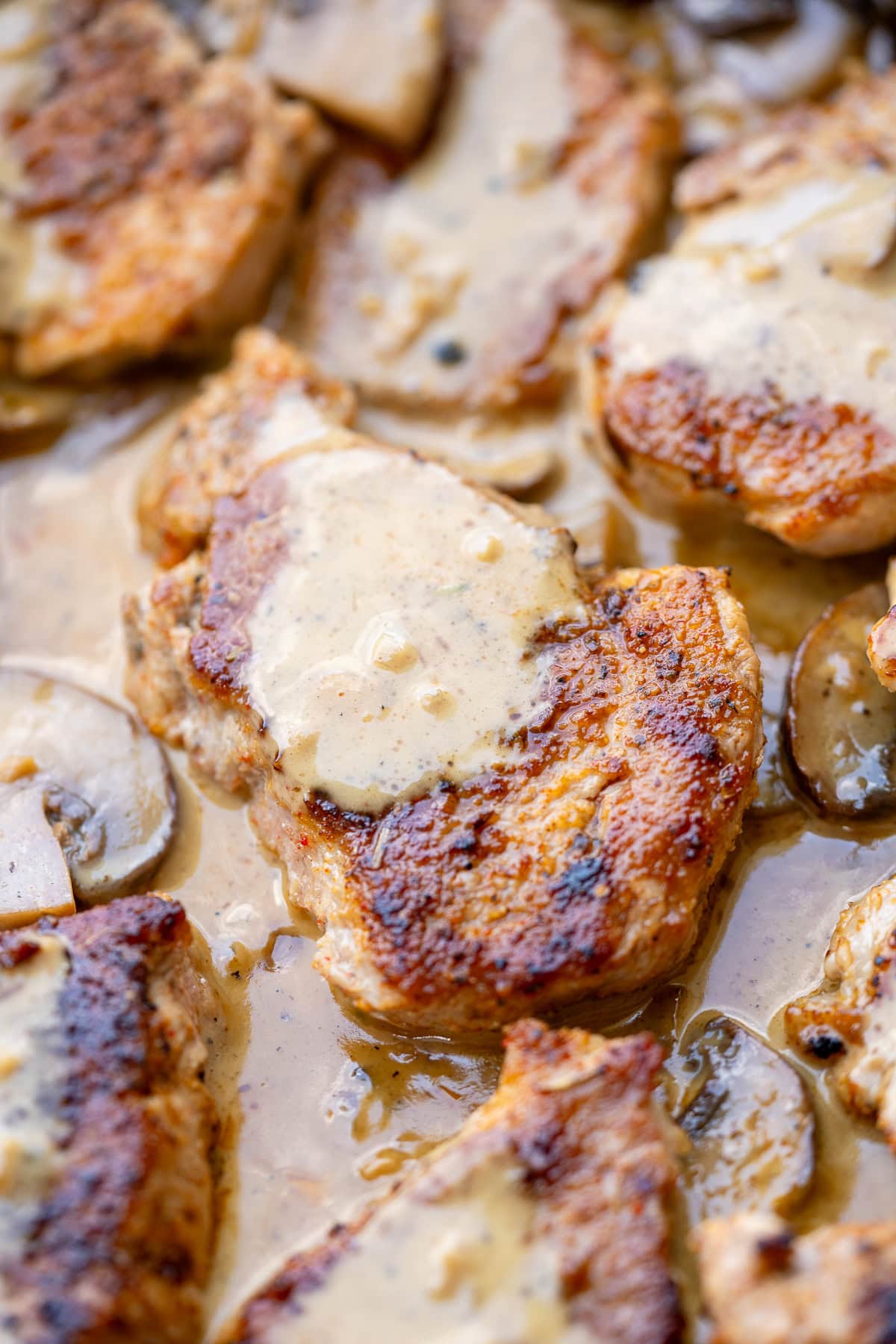 closeup image showing creamy mushroom sauce over juicy pork medallions